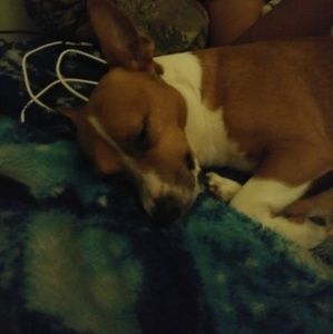 Meet your Posher, Josh